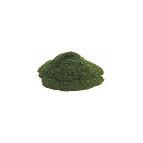 Chlorella