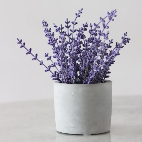 Lavendel-Holz